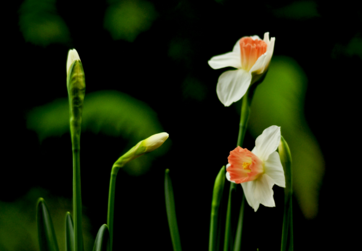 各人都做生态文明建设的实践者、、、推动者（生态论苑）