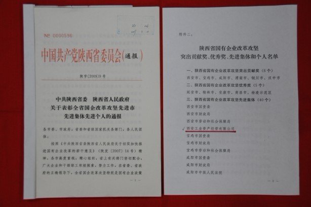 2009年2月，，，被陕西省委、省政府授予陕西省国有企业刷新攻坚先进整体